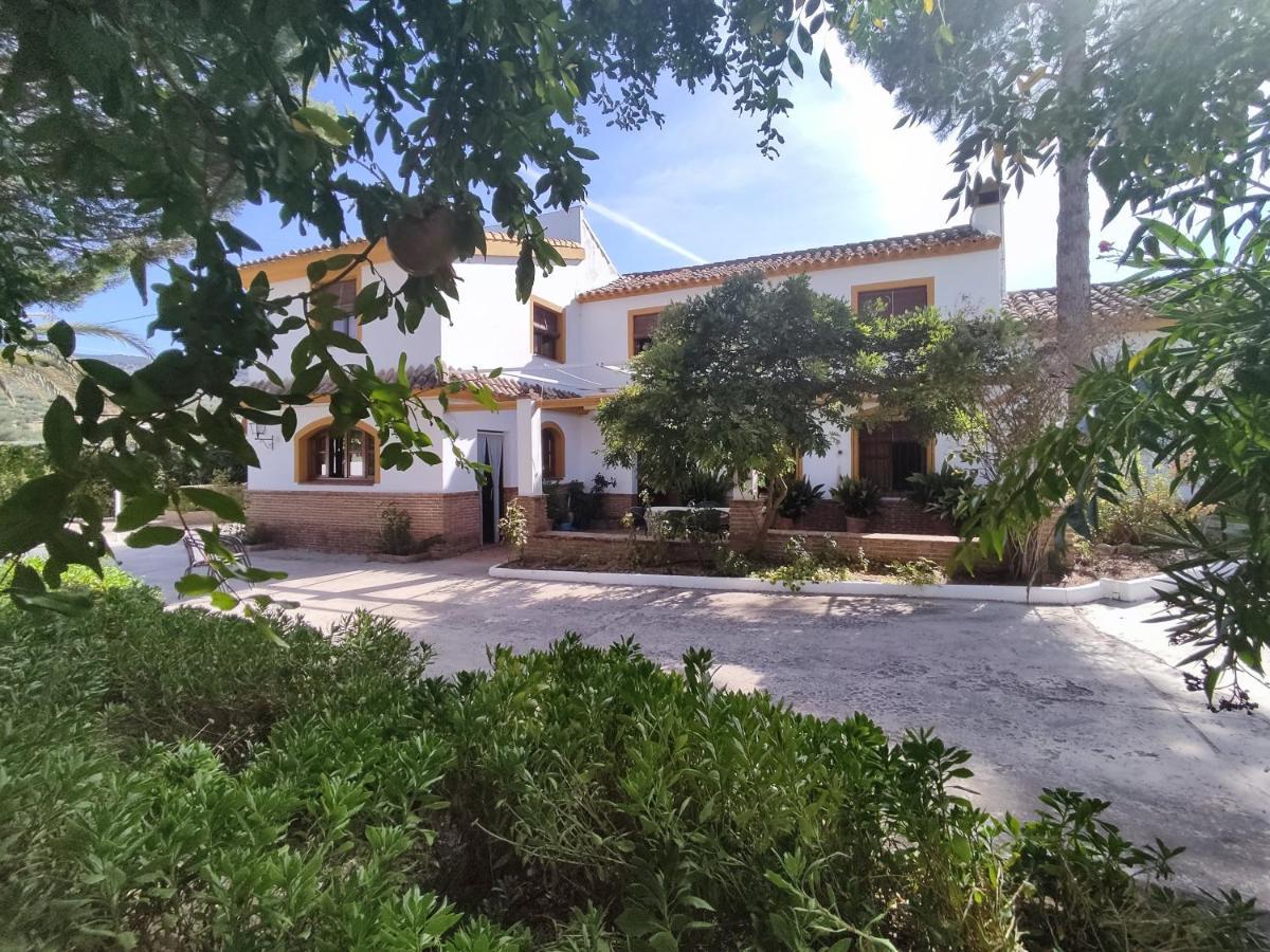 Paredejas Del Rey Priego de Córdoba Екстериор снимка