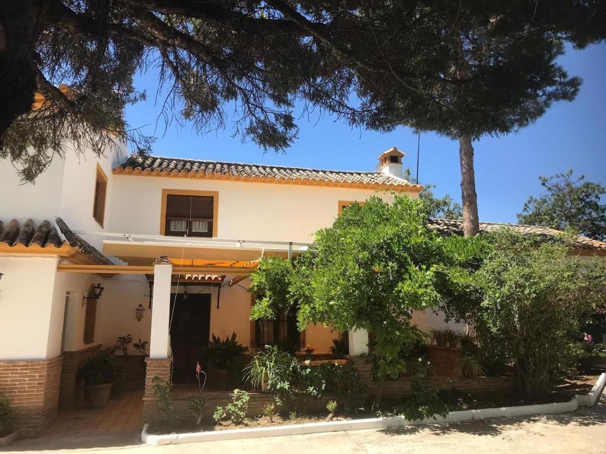 Paredejas Del Rey Priego de Córdoba Екстериор снимка