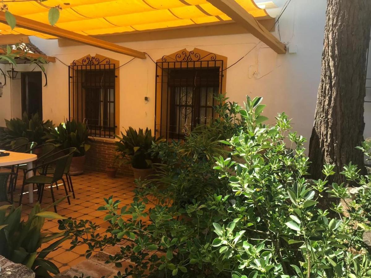 Paredejas Del Rey Priego de Córdoba Екстериор снимка