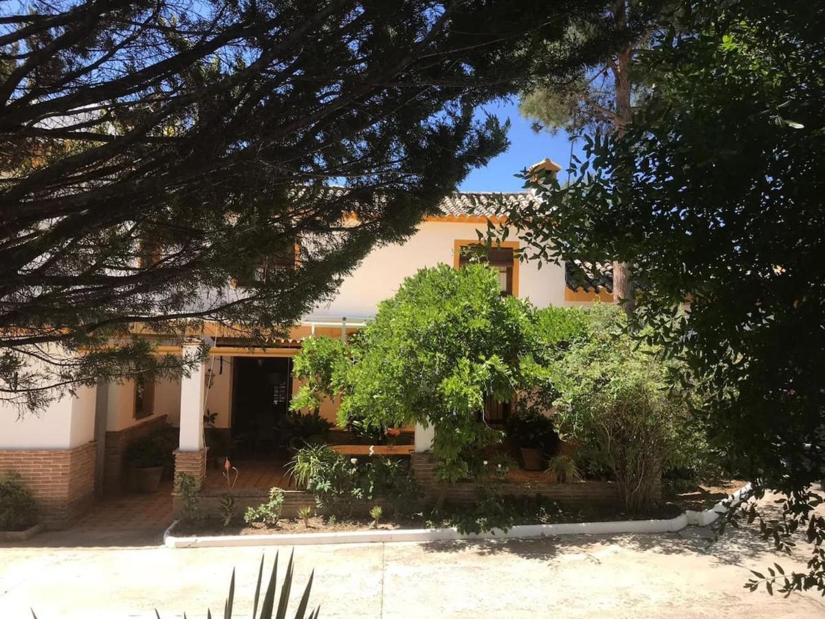 Paredejas Del Rey Priego de Córdoba Екстериор снимка