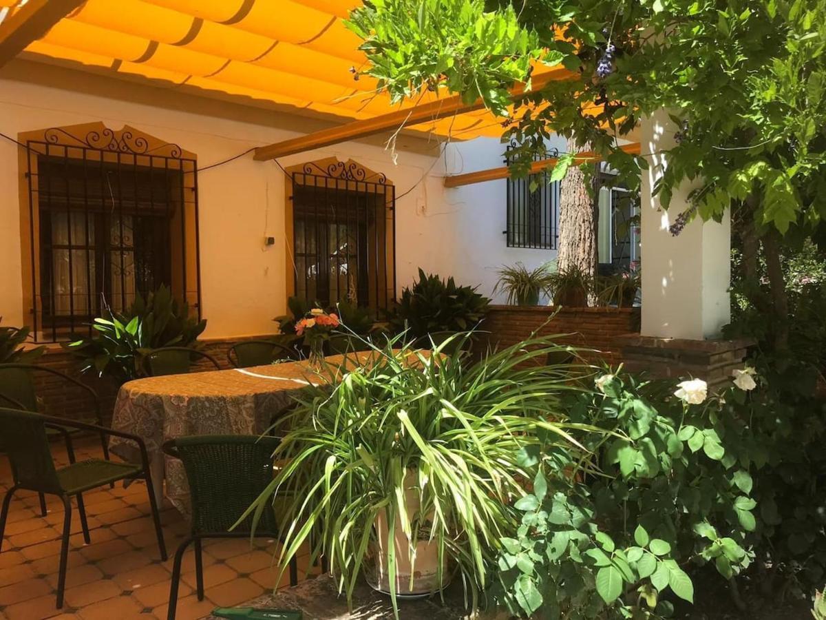 Paredejas Del Rey Priego de Córdoba Екстериор снимка